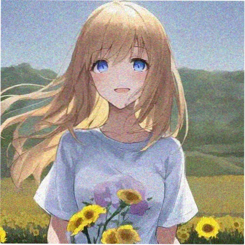 读者江月白头像